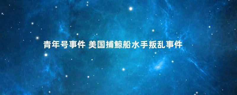 青年号事件 美国捕鲸船水手叛乱事件